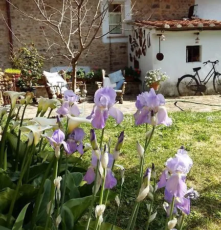 Il Colle *